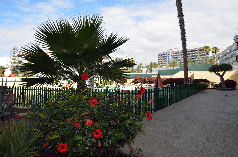 Apartamentos Los Juncos I Playa del Inglés Buitenkant foto
