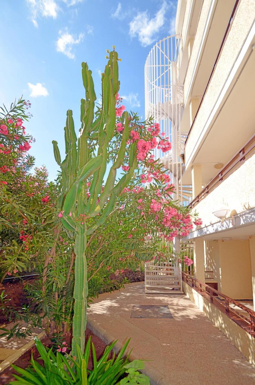 Apartamentos Los Juncos I Playa del Inglés Buitenkant foto